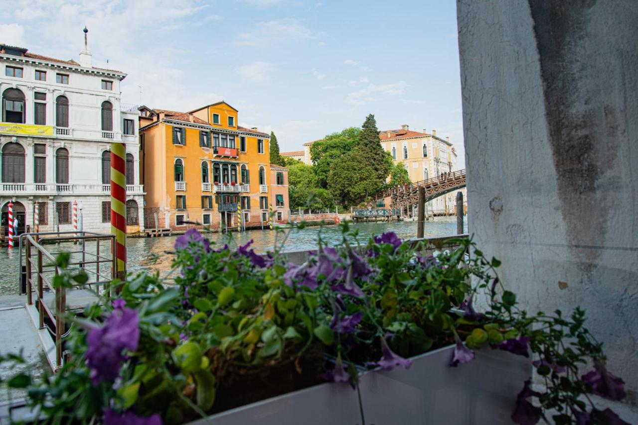 Luxury On The Gran Canal With Wonderful View Venecia